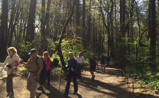 36th Trillium Festival Draws Nature Lovers to Tryon Creek State Park