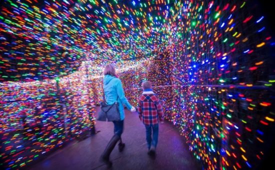 Zoo Lights Illuminate Darkness with 1.6 million lights