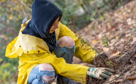 Ecology in Classrooms and Outdoors… and at Home